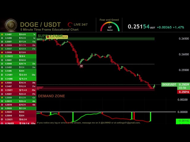 🔴 DOGE DOGECOIN Live Trading Signals DOGEUSDT Best Trading Crypto Strategy