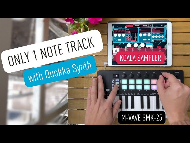 Quokka Synth 1 note track | KOALA SAMPLER x M-Vave SMK-25