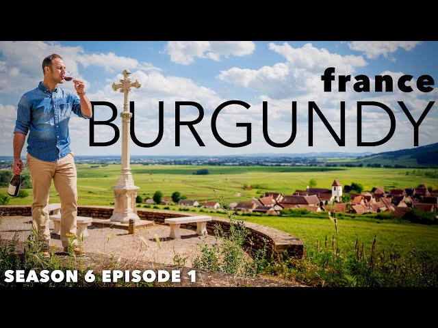 Is BURGUNDY WINE Worth the Hype? Visit France's Most Famous Region!