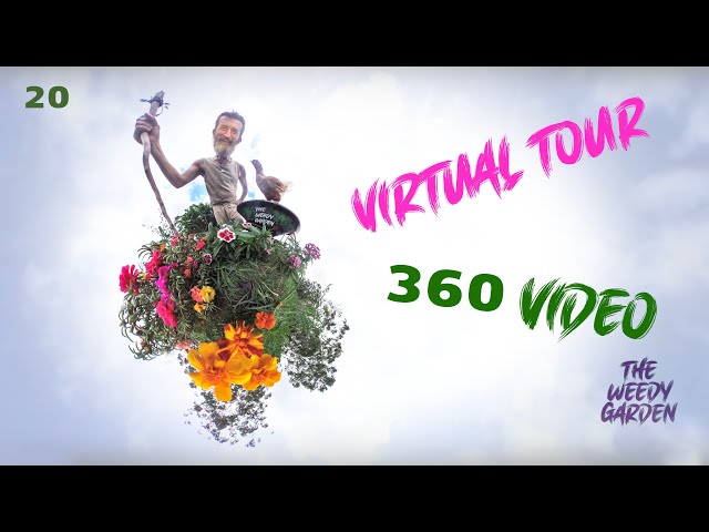 360 VIDEO - A Virtual Tour of a Food Forest