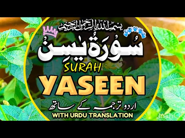 Surah Yasin(Yaseen) | Full With Arabic | Beautiful recitation|یس سورہ 36|000114|edit&pgdinz