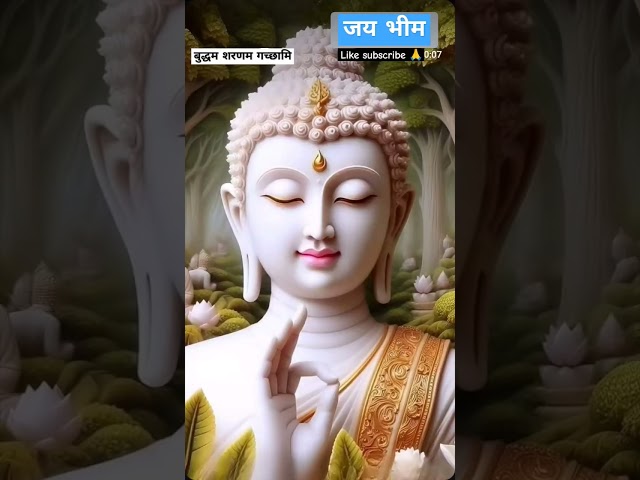 #ytshorts #buddha #buddhism #trending #video #viralvideo #motivation #jaibhim #india #reels