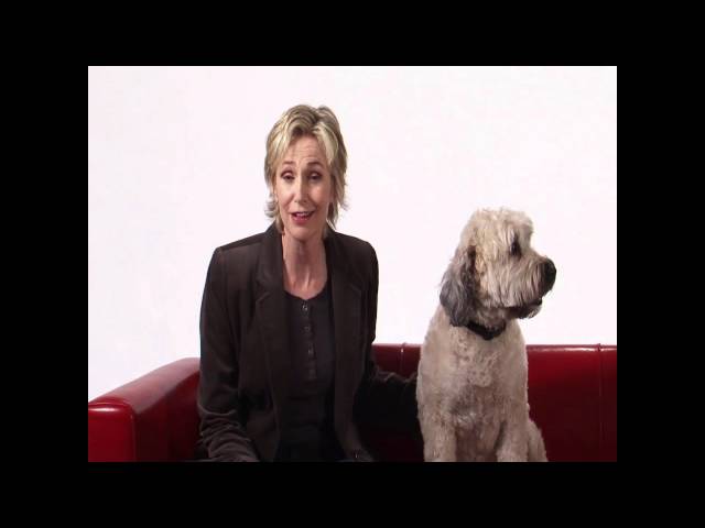 Jane Lynch Says: Spay and Neuter Your Cats and Dogs!