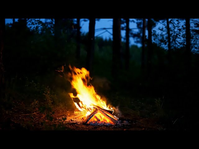 Soothing Campfire Sounds with Smooth Jazz to Help You Fall Asleep Fast