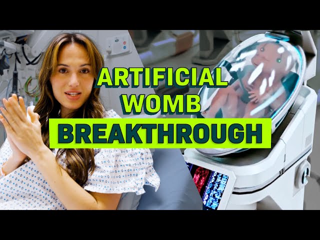 Would You Use An Artificial Womb? (I Would)