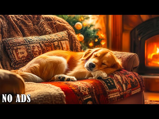 12 Hours of Relaxing Music💖Stress Relieving Music🐶🎵Dog Separation Anxiety Music