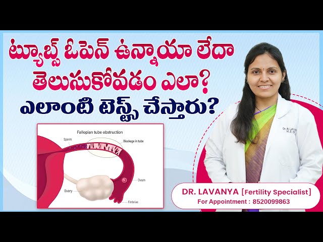 How to Identify Open vs Blocked Fallopian Tubes | Key Diagnostic Tests | Mythri Sri Fertility Centre