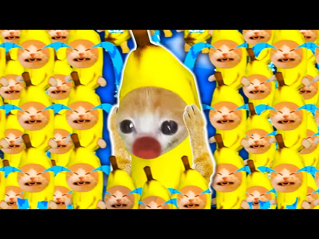 BANANA CAT - I'M HATE CRYING | Happy Cat Funny Cartoon 46