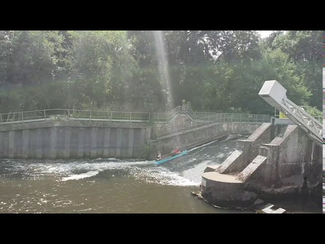 River Medway in a canoe 2018-08-04