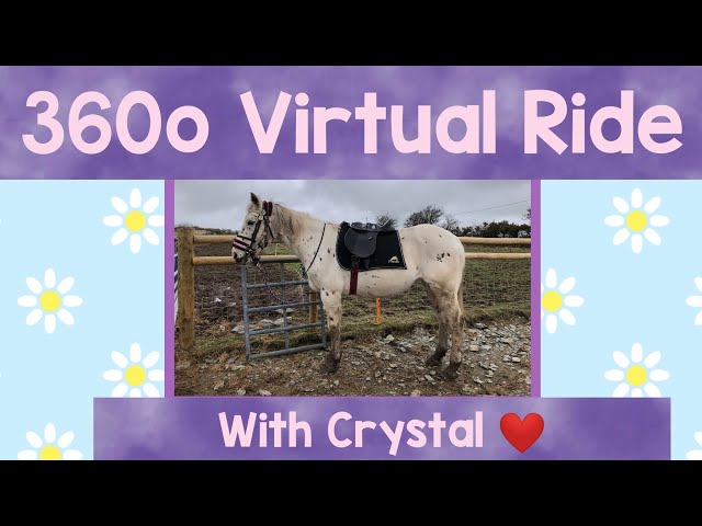 INSTA360 ONEX  HORSE RIDING ON MY APPALOOSA VIRTUAL REALITY