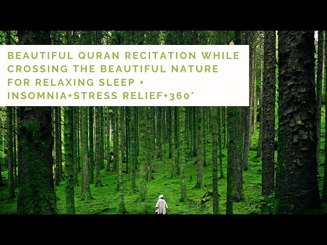 HD-JUZ 30| Beautiful Quran Recitation by M. Thoha for Relaxing Sleep + Insomnia+Stress Relief+360°