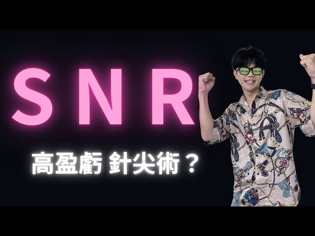 SNR 2024交易策略 輕鬆找出盤面的支撐及壓力 實現財富自由！