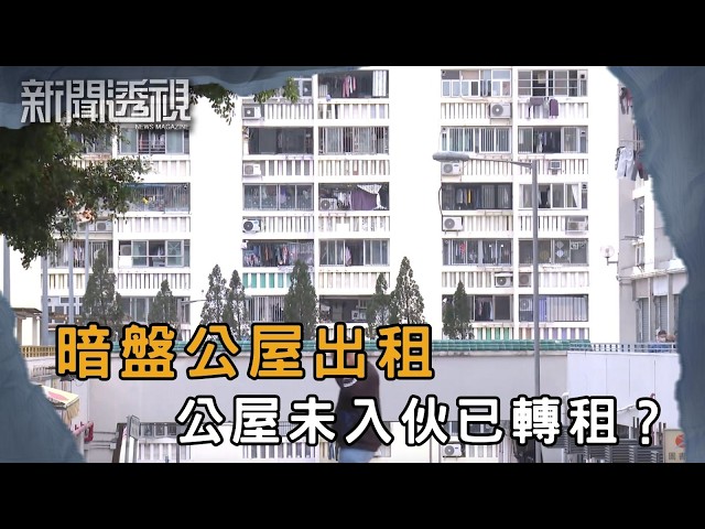 調查揭違規真相 違法出租公屋氾濫｜新聞 | 時事 | 資訊節目 | 新聞透視｜News Magazine