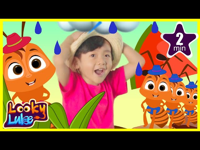 Ants song! The Ants Go Marching Kids Song by looky luke