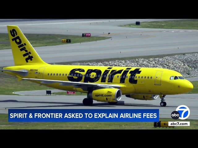 'Offensive' tattoos and 'see-through clothing' prohibited on Spirit Airlines flight