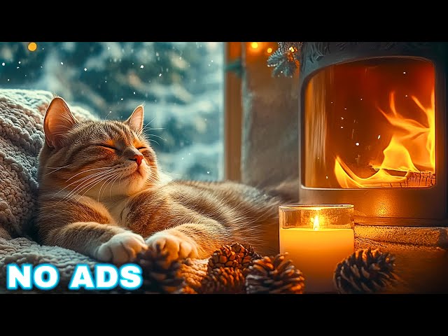 Calming music for Cats 🎵 Cat anxiety music no ads | Cat music for sleep | Piano cat music