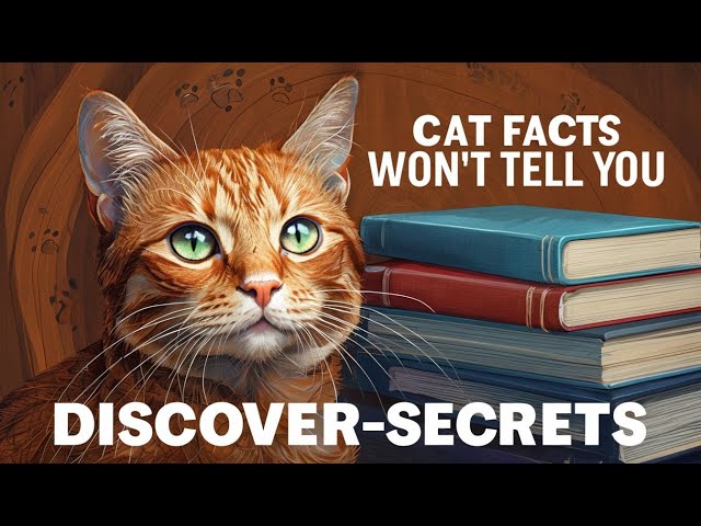 10 Fascinating Cat Facts You Never Knew | Cats Care