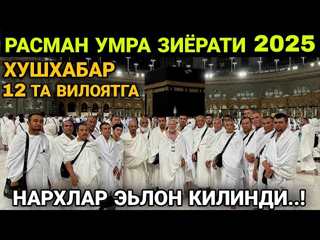 Мана ЯНГИЛИК..! Умра 2025 Нархлари ЭЬЛОН КИЛИНДИ | Умра 2025 Umra safari 2025