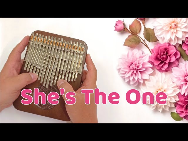 She's The One (Robbie Williams) - Kalimba Cover with Tabs