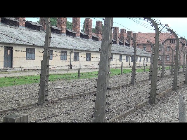 PSVR 3D AUSCHWITZ  Oswiecim, Poland