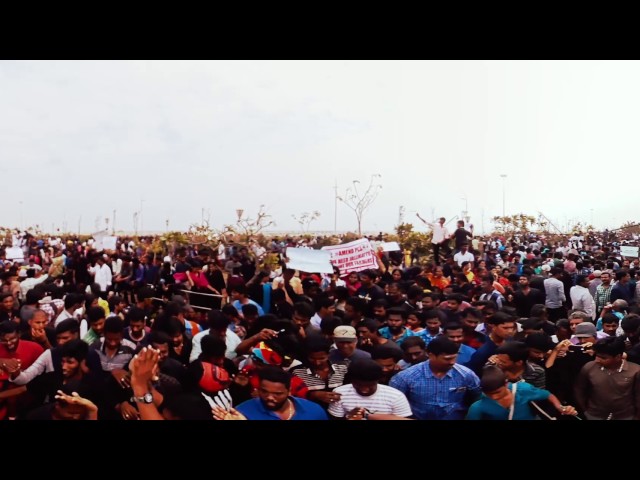 Chennai Marina Jallikattu Protest Part 2 360° / VR Video