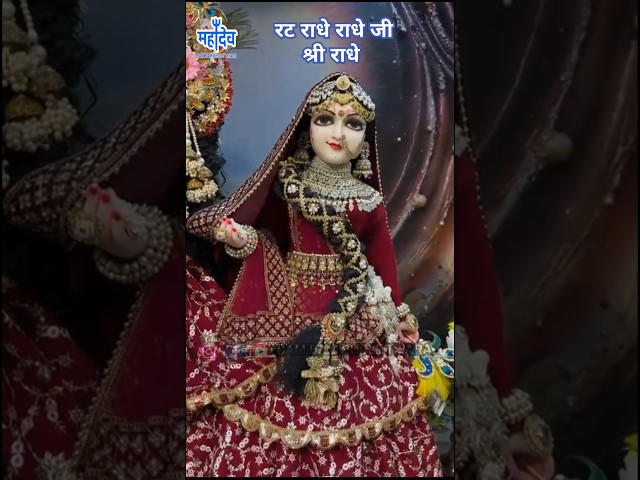 Tu Chhod Ke Jhamele Sab 🌹 Rat Radhe Rat Radhe, Radhe Rat Re Status #radheradhe​ #youtube #shorts​