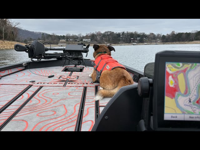 Winter crappie fishing Norris Lake with Dobyns Josh Jones rod