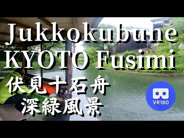 VR180 5月 雨の深緑 伏見十石舟 乗船 KYOTO Fushimi Jukoku-bune