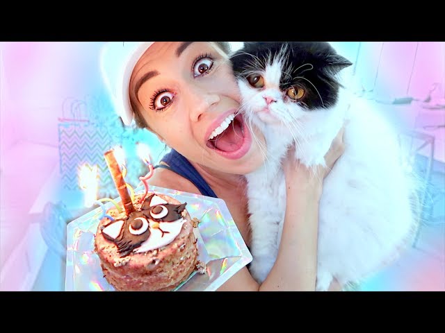 THROWING MY CAT A BIRTHDAY PARTY!