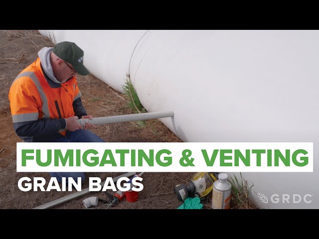 Grain storage series: 1/3 | Fumigating and venting grain bags