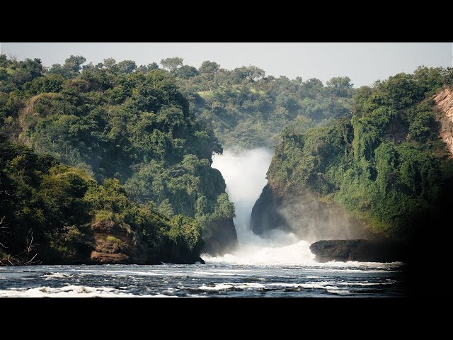 Murchison Falls National Park | Uganda | Cinematic Film