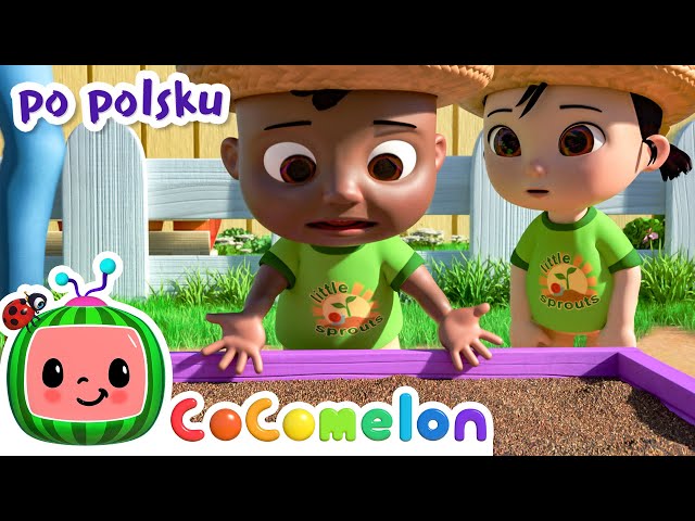 Piosenka
  ogrodowa | CoComelon po polsku 🍉🎶 Piosenki dla dzieci