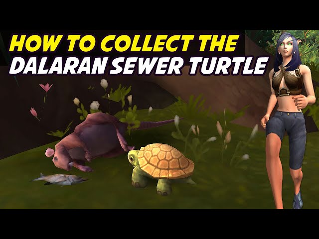 How to Collect the Dalaran Sewer Turtle (Turtle Thanks)