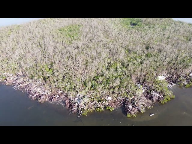 Yachtsman Cove to Julies Island after Hurrican Ian, at low tide.