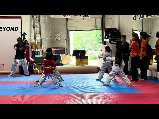 KIDS Taekwondo very interesting T O Watch If You Doing Taekwondo Must watch this