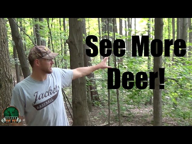 How to Hinge Cut To See More Deer