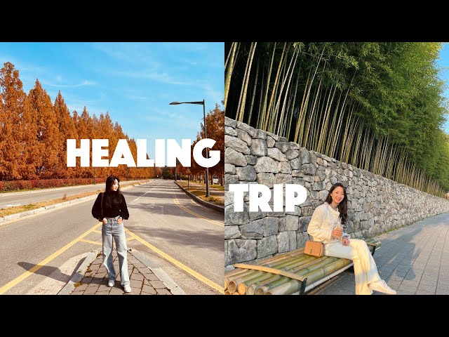 Korea Diaries || Nature Healing Trip in Damyang | Travel🇰🇷