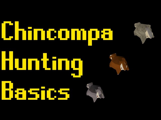 Basic Chinchompa Hunting Guide 2019 (OSRS)