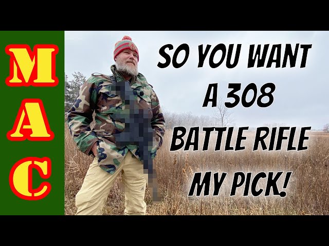 5.56 sucks so you want a 308 Battle Rifle? Here's my pick!