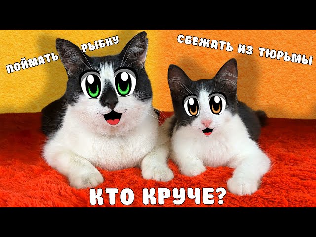 КОТ МАЛЫШ vs КОТЁНОК ЯНИ - КТО КРУЧЕ? ЧЕЛЛЕНДЖ ПОБЕГ из ТЮРЬМЫ, ПОЙМАТЬ РЫБКУ! ВЫБЕРИ КТО ЛУЧШЕ