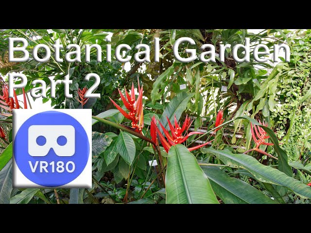 Botanical Garden Part 2 VR180