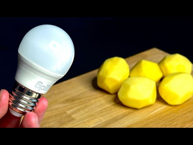 ❓Do you have a light bulb and potatoes? 🔥Why didn’t I know this recipe earlier?