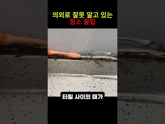 의외로 잘못 알고 있는 청소 꿀팁