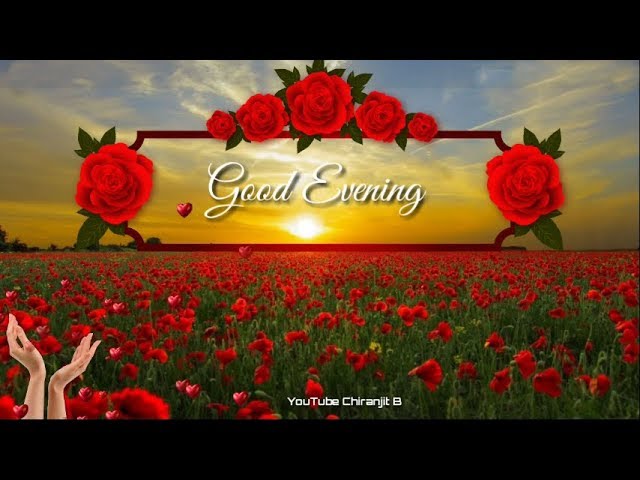 Good Evening Beautiful Video | whatsapp status video | Chiranjit B