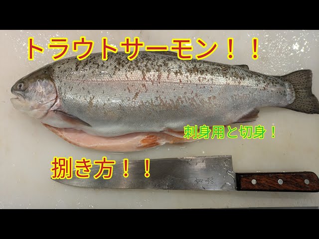 [魚の捌き方]トラウトサーモン捌き方！！