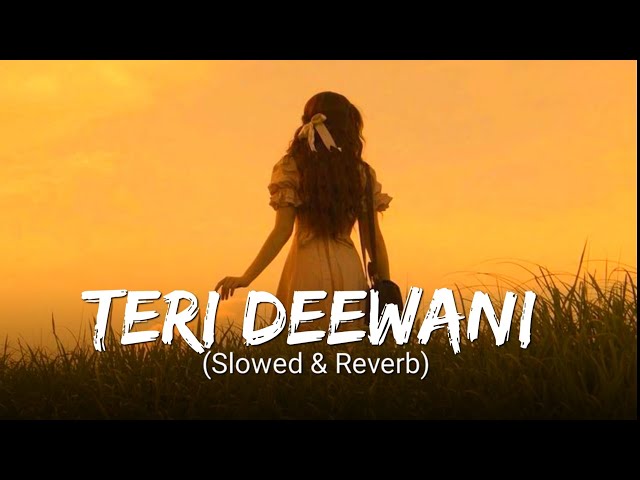 Teri Deewani (Slowed+Reverb) Kailash Kher | Lofi Song | sn creation|