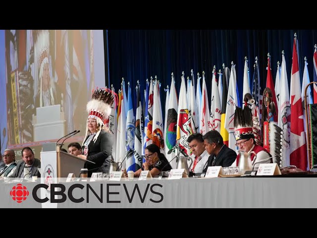 First Nations vote down resolution to endorse $47.8B child welfare reform deal