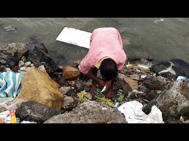 Climate Change in Versova Koliwada: Catching fish in a creek full of waste