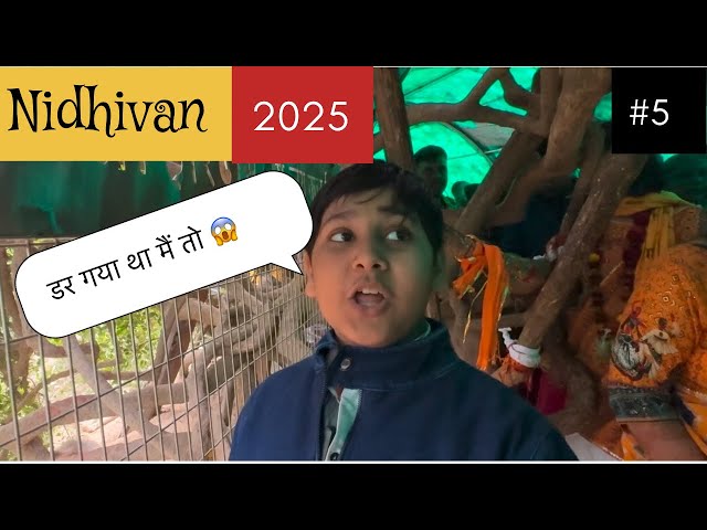 Nidhivan Vrindavan | complete information about Nidhivan | Nidhivan me kya hai | Nidhivan ka rahasya