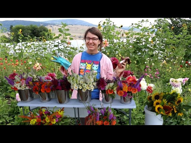 Flower Harvest Day Turns Into Rain Disaster